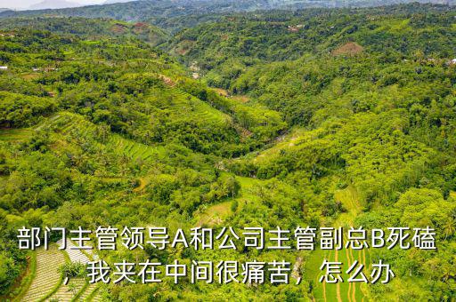 部門主管領(lǐng)導(dǎo)A和公司主管副總B死磕，我夾在中間很痛苦，怎么辦