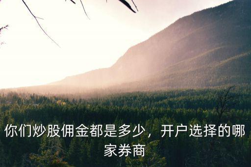 你們炒股傭金都是多少，開戶選擇的哪家券商