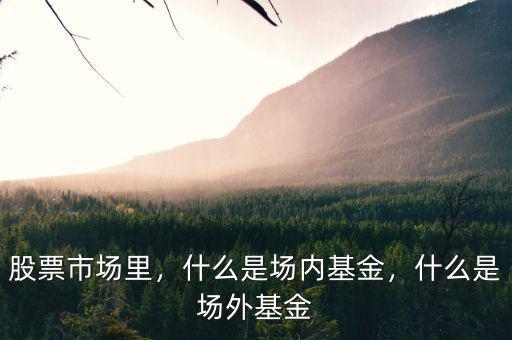 股票市場里，什么是場內(nèi)基金，什么是場外基金