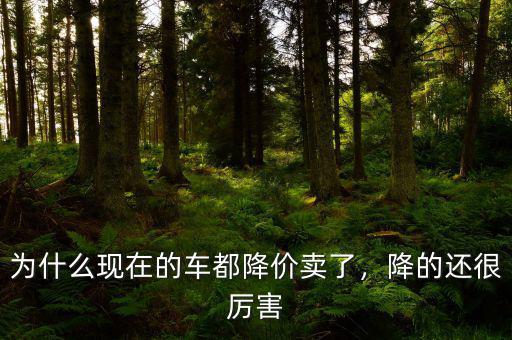 為什么現(xiàn)在的車都降價(jià)賣了，降的還很厲害