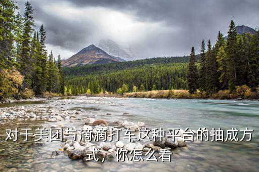 對于美團與滴滴打車這種平臺的抽成方式，你怎么看