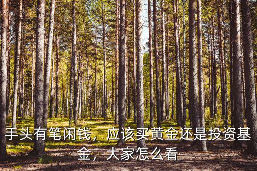 手頭有筆閑錢，應(yīng)該買黃金還是投資基金，大家怎么看