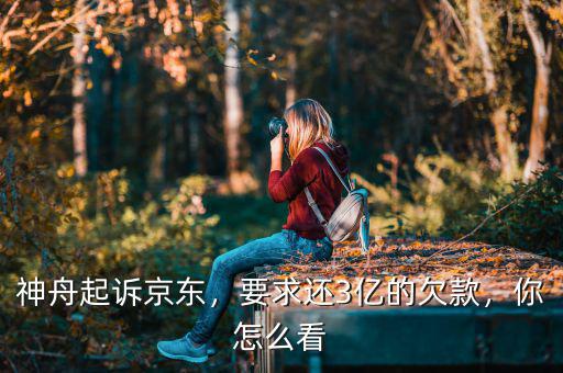 神舟起訴京東，要求還3億的欠款，你怎么看