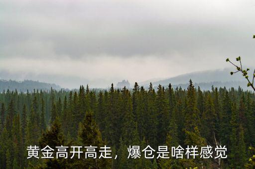 黃金高開高走，爆倉是啥樣感覺