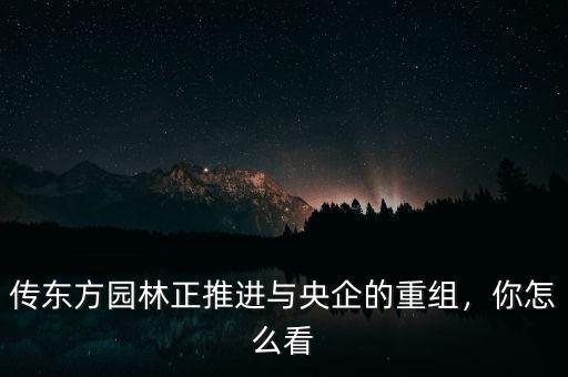 傳東方園林正推進(jìn)與央企的重組，你怎么看