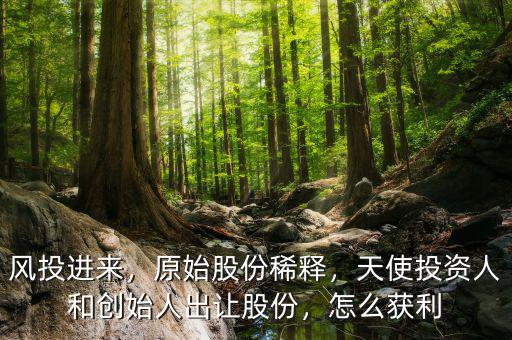 風投進來，原始股份稀釋，天使投資人和創(chuàng)始人出讓股份，怎么獲利