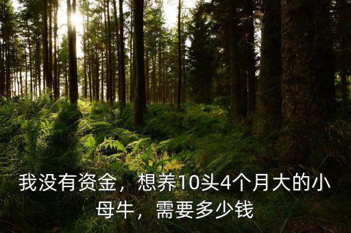 我沒有資金，想養(yǎng)10頭4個(gè)月大的小母牛，需要多少錢