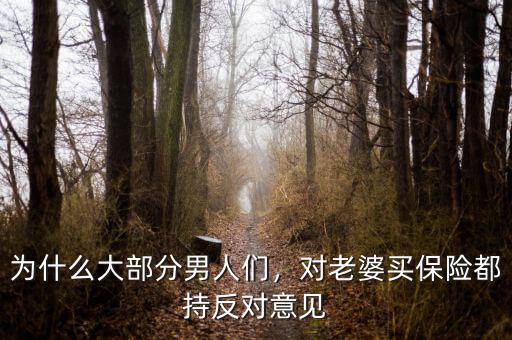 為什么大部分男人們，對老婆買保險都持反對意見