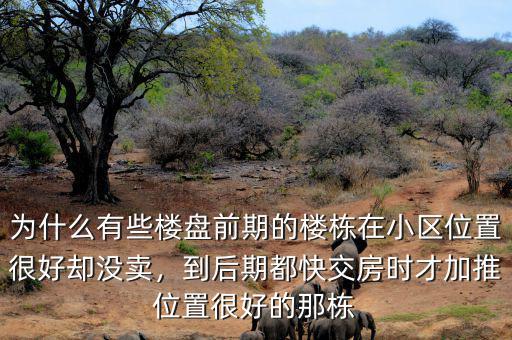 為什么有些樓盤前期的樓棟在小區(qū)位置很好卻沒賣，到后期都快交房時(shí)才加推位置很好的那棟