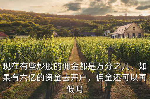 現(xiàn)在有些炒股的傭金都是萬(wàn)分之幾，如果有六億的資金去開(kāi)戶，傭金還可以再低嗎