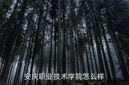 安慶職業(yè)技術(shù)學院怎么樣