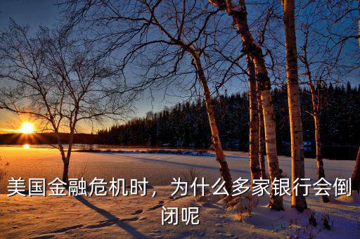 美國金融危機(jī)時，為什么多家銀行會倒閉呢