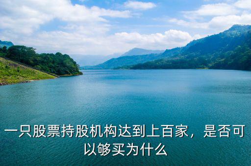 一只股票持股機構(gòu)達(dá)到上百家，是否可以夠買為什么