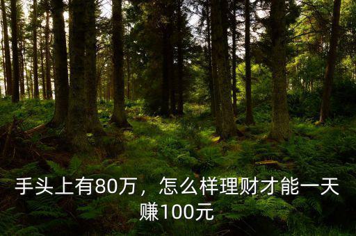 手頭上有80萬(wàn)，怎么樣理財(cái)才能一天賺100元