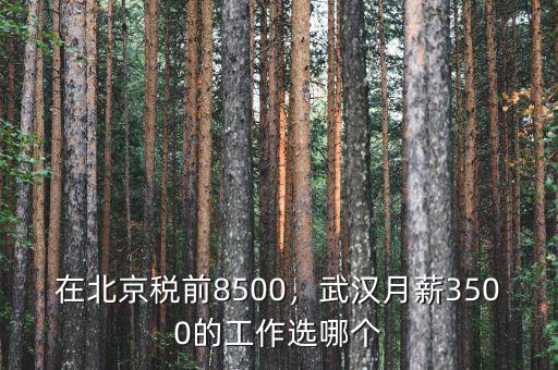 在北京稅前8500，武漢月薪3500的工作選哪個(gè)