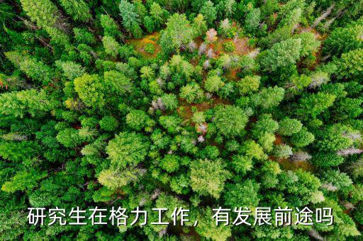 研究生在格力工作，有發(fā)展前途嗎