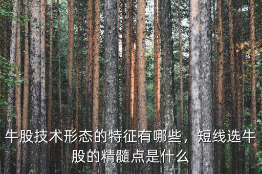 牛股技術(shù)形態(tài)的特征有哪些，短線選牛股的精髓點是什么