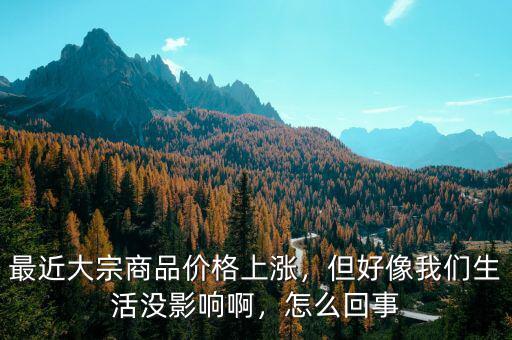 最近大宗商品價(jià)格上漲，但好像我們生活沒(méi)影響啊，怎么回事