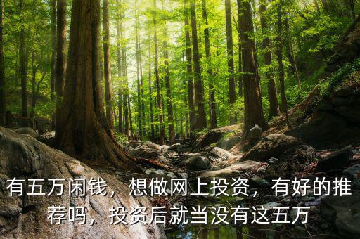有五萬閑錢，想做網(wǎng)上投資，有好的推薦嗎，投資后就當(dāng)沒有這五萬