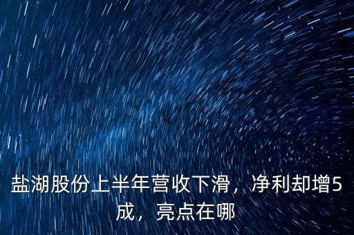 鹽湖股份上半年營收下滑，凈利卻增5成，亮點在哪