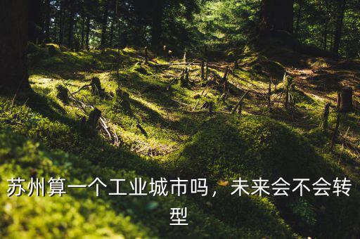 蘇州算一個(gè)工業(yè)城市嗎，未來(lái)會(huì)不會(huì)轉(zhuǎn)型