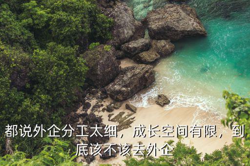 都說(shuō)外企分工太細(xì)，成長(zhǎng)空間有限，到底該不該去外企