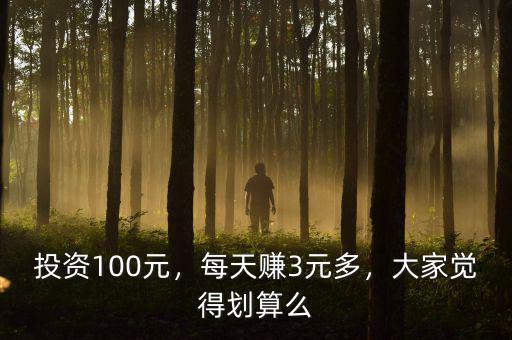投資100元，每天賺3元多，大家覺得劃算么