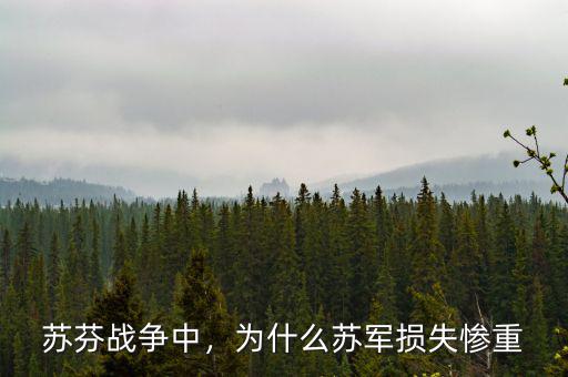 蘇芬戰(zhàn)爭中，為什么蘇軍損失慘重