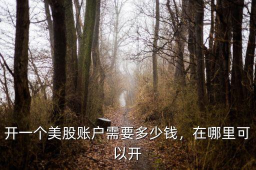 開(kāi)一個(gè)美股賬戶需要多少錢，在哪里可以開(kāi)