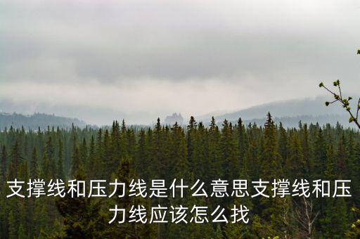 支撐線(xiàn)和壓力線(xiàn)是什么意思支撐線(xiàn)和壓力線(xiàn)應(yīng)該怎么找