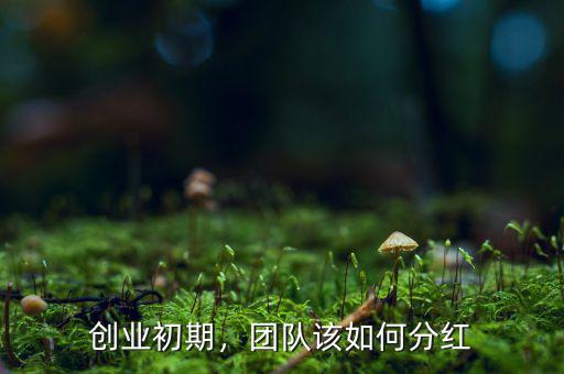 創(chuàng)業(yè)初期，團隊該如何分紅