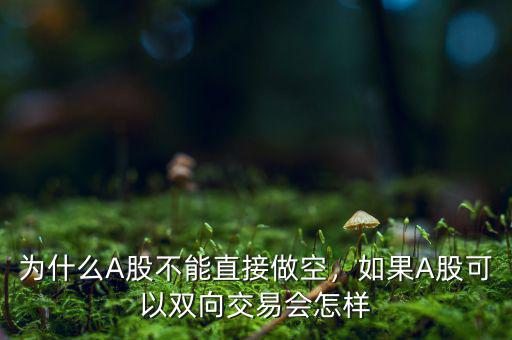 為什么A股不能直接做空，如果A股可以雙向交易會(huì)怎樣