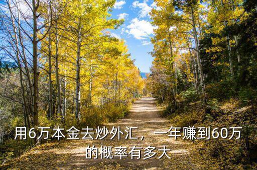 用6萬本金去炒外匯，一年賺到60萬的概率有多大