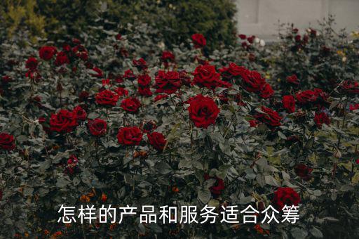 什么價位的產品適合眾籌,網(wǎng)上的眾籌的產品靠譜嗎