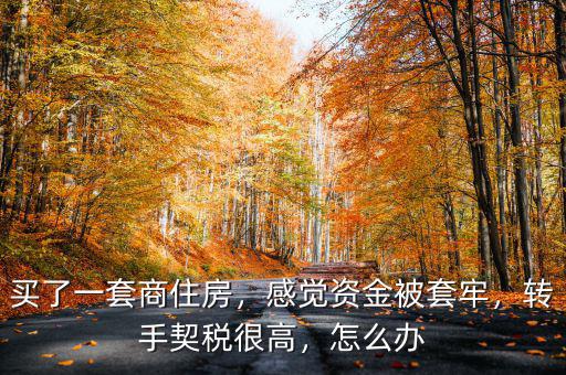 買了一套商住房，感覺資金被套牢，轉(zhuǎn)手契稅很高，怎么辦