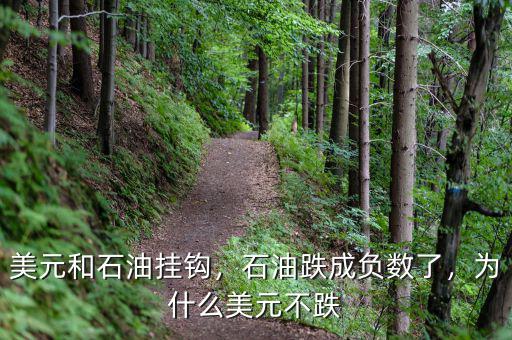 美元和石油掛鉤，石油跌成負數(shù)了，為什么美元不跌