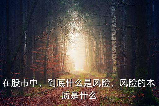 在股市中，到底什么是風(fēng)險(xiǎn)，風(fēng)險(xiǎn)的本質(zhì)是什么