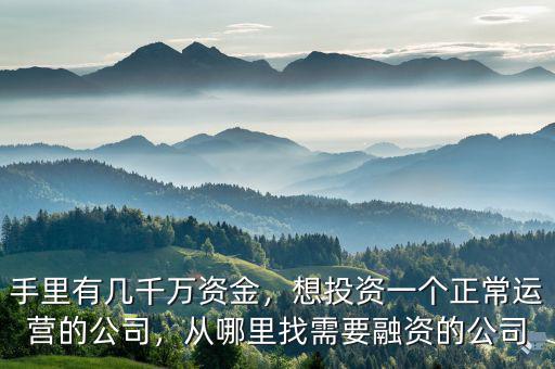 手里有幾千萬(wàn)資金，想投資一個(gè)正常運(yùn)營(yíng)的公司，從哪里找需要融資的公司