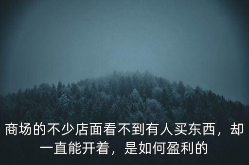 商場(chǎng)的不少店面看不到有人買(mǎi)東西，卻一直能開(kāi)著，是如何盈利的