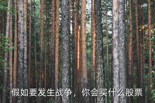 假如要發(fā)生戰(zhàn)爭，你會買什么股票