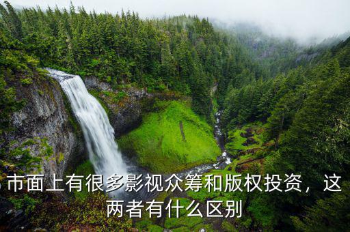 市面上有很多影視眾籌和版權(quán)投資，這兩者有什么區(qū)別