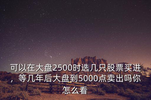 可以在大盤2500時(shí)選幾只股票買進(jìn)，等幾年后大盤到5000點(diǎn)賣出嗎你怎么看