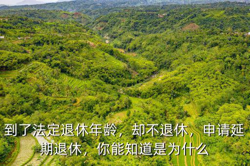 到了法定退休年齡，卻不退休，申請(qǐng)延期退休，你能知道是為什么