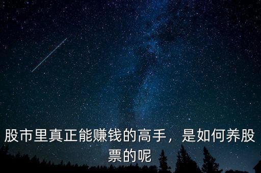 股市里真正能賺錢的高手，是如何養(yǎng)股票的呢