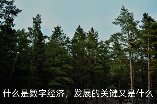 什么是數(shù)字經(jīng)濟(jì)，發(fā)展的關(guān)鍵又是什么