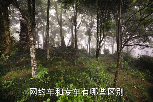 網(wǎng)約車(chē)和專車(chē)有哪些區(qū)別