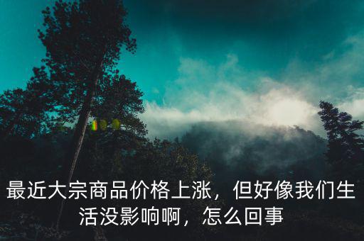 最近大宗商品價格上漲，但好像我們生活沒影響啊，怎么回事