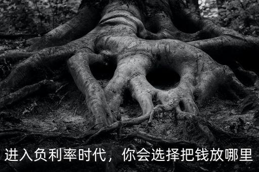 進入負利率時代，你會選擇把錢放哪里