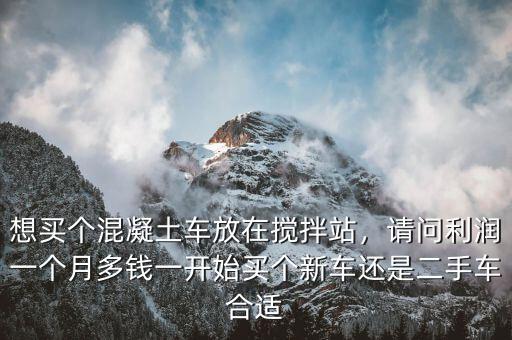 想買個(gè)混凝土車放在攪拌站，請(qǐng)問利潤一個(gè)月多錢一開始買個(gè)新車還是二手車合適