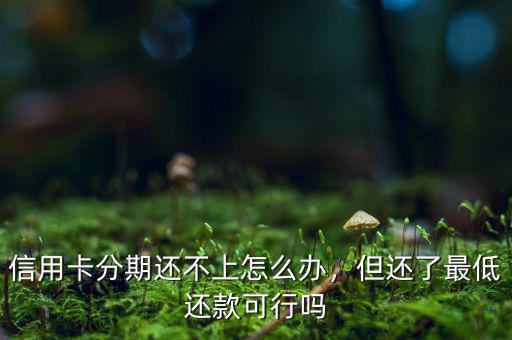 信用卡分期還不上怎么辦，但還了最低還款可行嗎